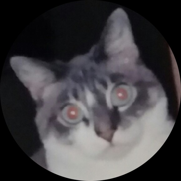 lulannsharpe